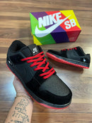 Tênis Nike Dunk Low Pro Cores Unisex